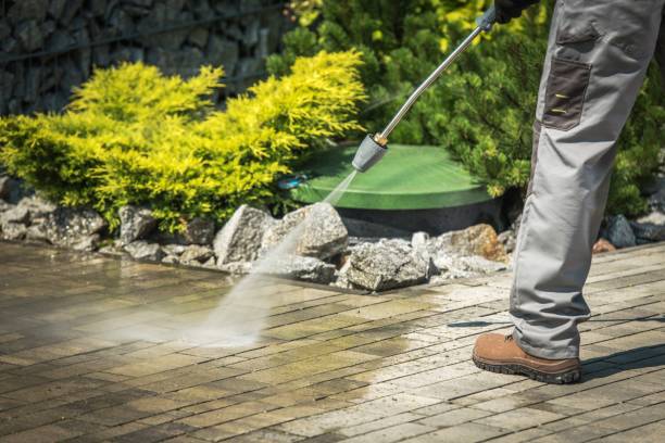 Best Warehouse Cleaning  in Ellisville, MS