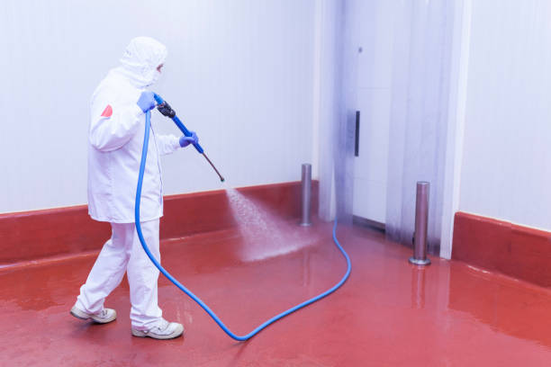 Best Machinery and Equipment Cleaning  in Ellisville, MS